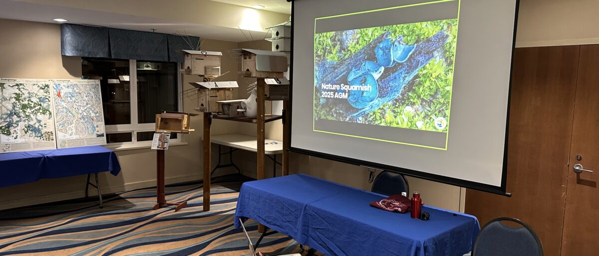 A projector, a display or bird houses, and maps are presented in a meting room.